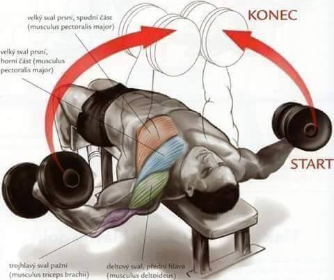 bodybuilding tips for chest