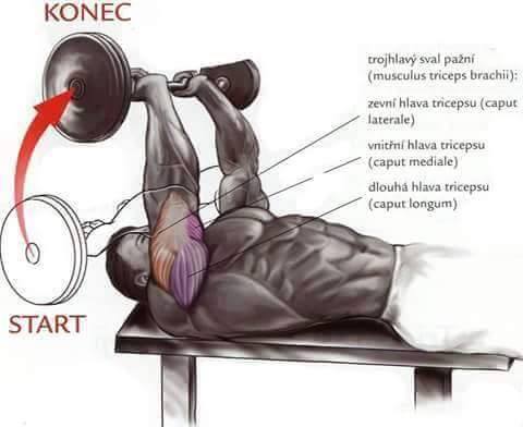 tricep lateral head exercises