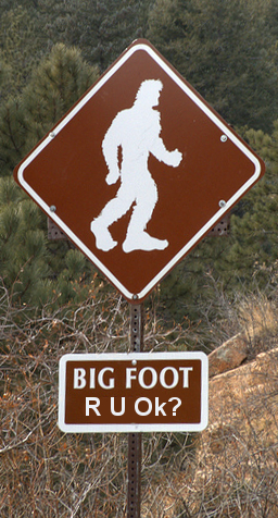 Bigfoot. Are you ok?