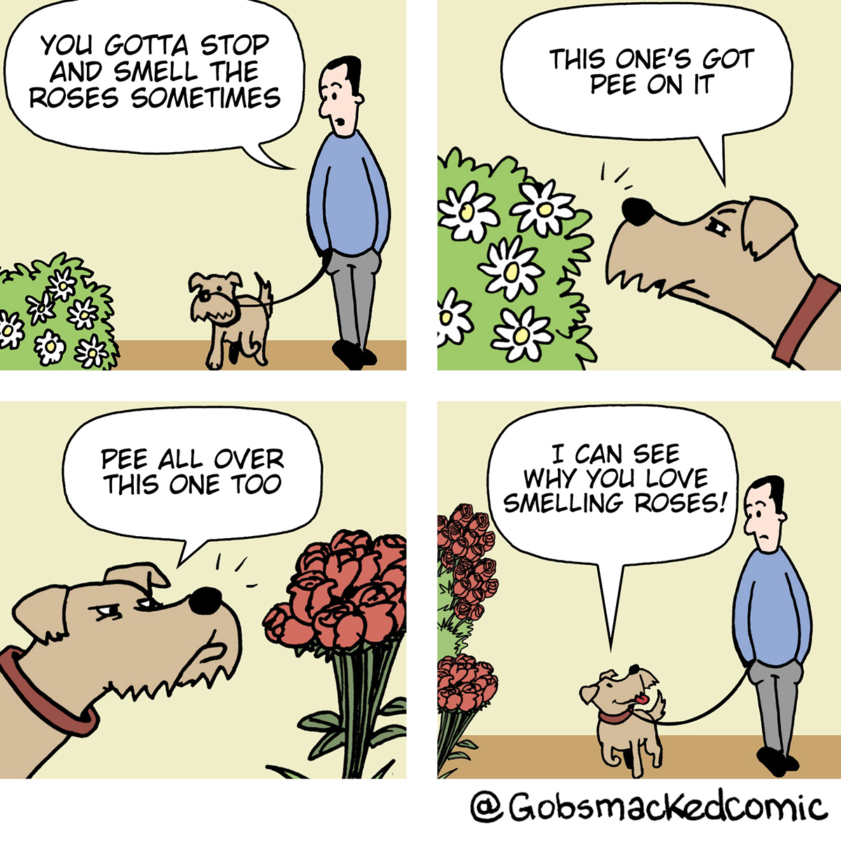 Why dogs like smelling flowers