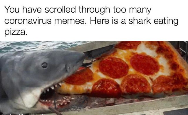 slice of pizza - You have scrolled through too many coronavirus memes. Here is a shark eating pizza.