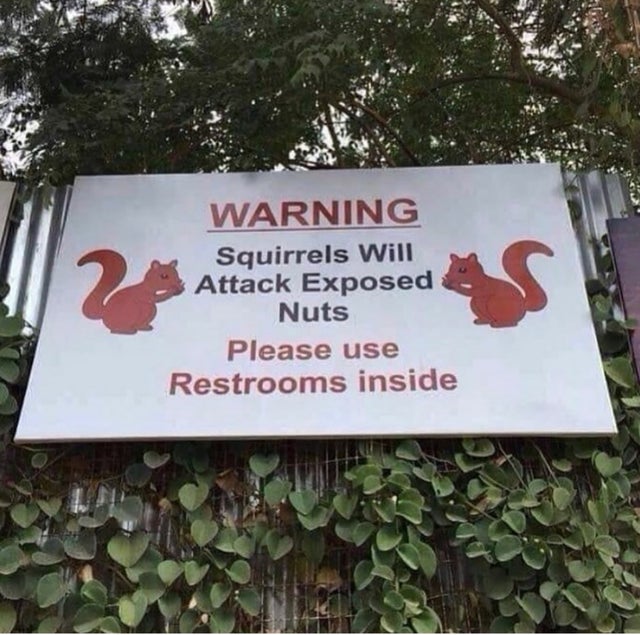 caution squirrels attack exposed nuts - Warning Squirrels Will Attack Exposed Nuts Please use Restrooms inside