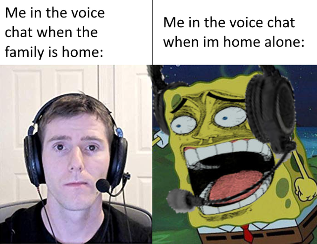 funny spongebob - Me in the voice chat when the family is home Me in the voice chat when im home alone