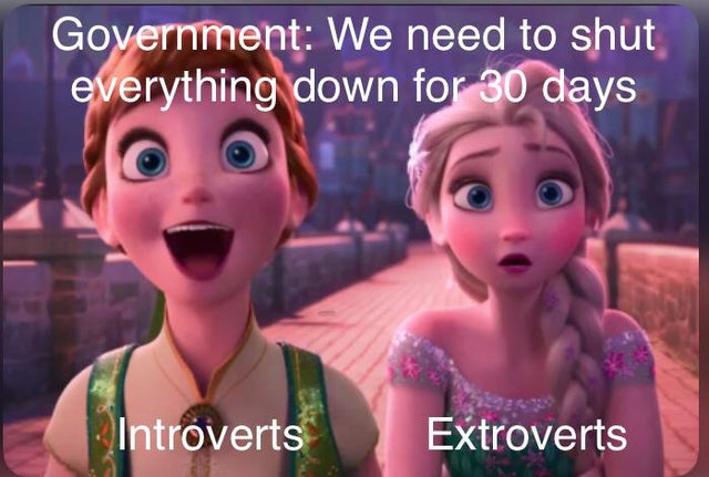 elsa and anna - Government We need to shut everything down for 30 days Introverts Extroverts