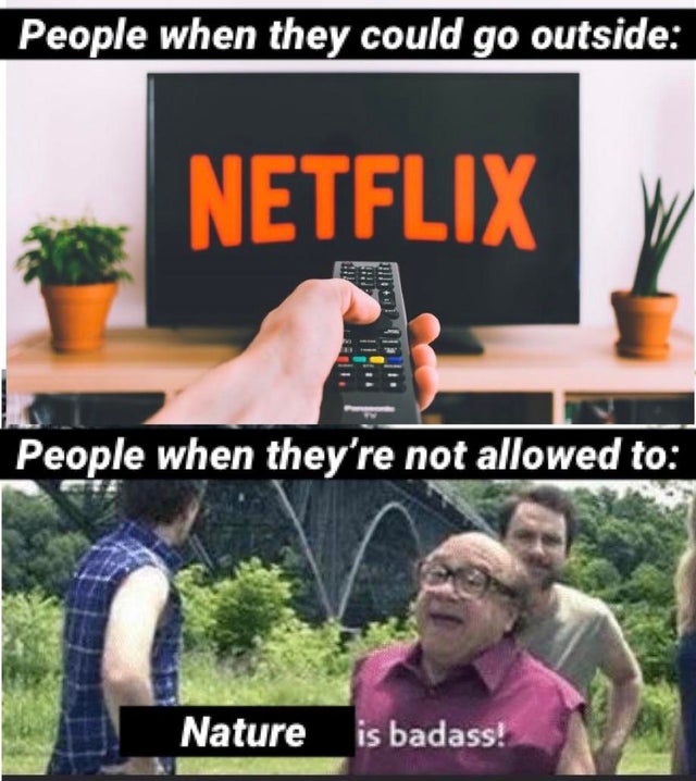 innovation netflix - People when they could go outside Netflix People when they're not allowed to Nature is badass!