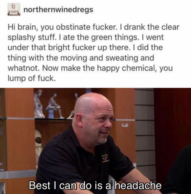 rick harrison meme - northernwinedregs Hi brain, you obstinate fucker. I drank the clear splashy stuff. I ate the green things. I went under that bright fucker up there. I did the thing with the moving and sweating and whatnot. Now make the happy chemical