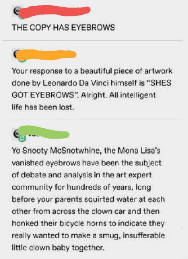document - The Copy Has Eyebrows Your response to a beautiful piece of artwork done by Leonardo Da Vinci himself is "Shes Got Eyebrows". Alright. All intelligent life has been lost. Yo Snooty McSnotwhine, the Mona Lisa's vanished eyebrows have been the su