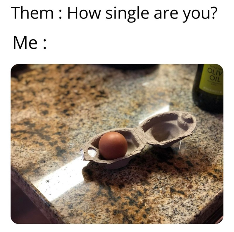 funny valentine's day memes - Them How single are you? Me one single egg