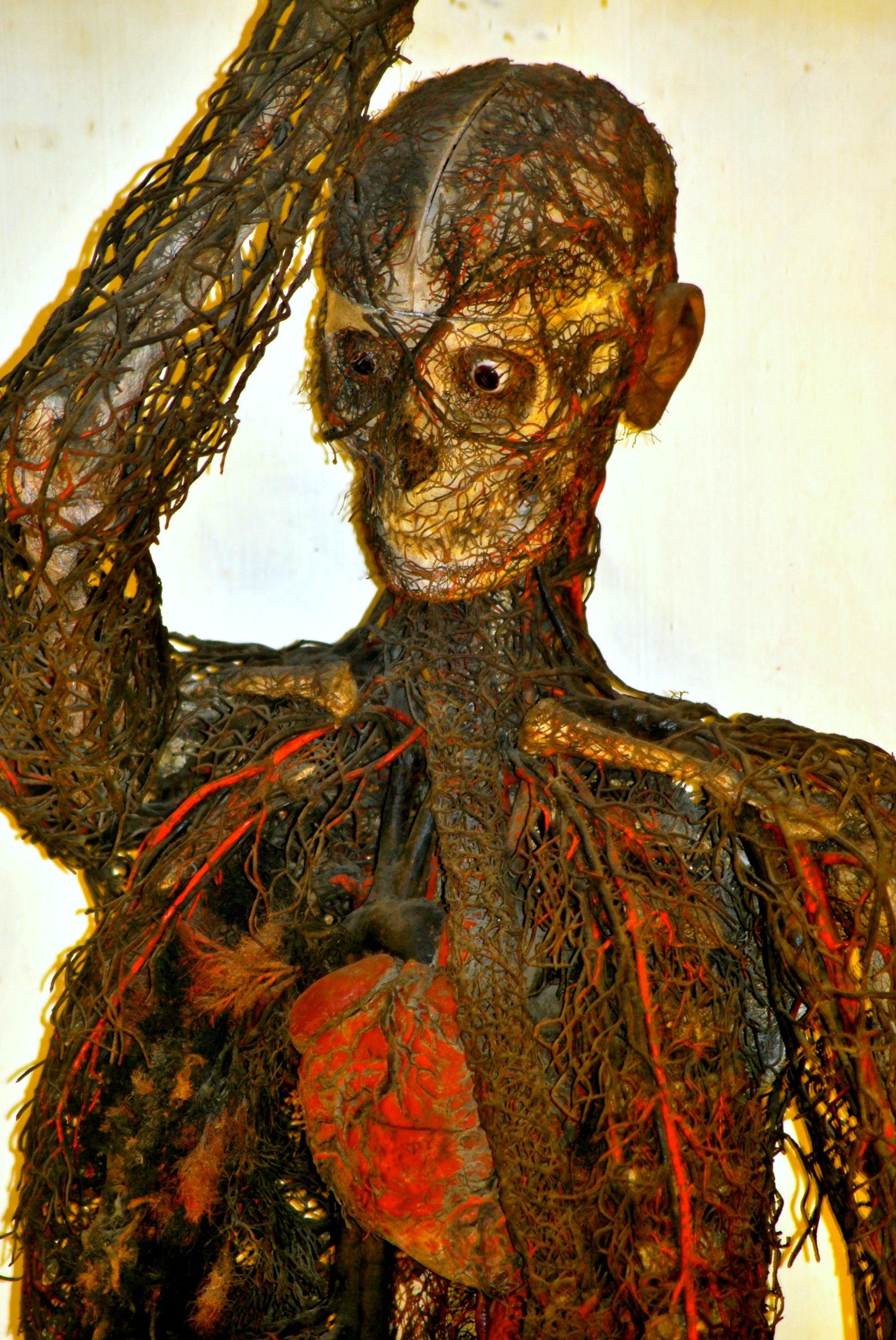 This beautiful sculpture actually used to be a human being! Using unknown methods, 18th century anatomist Giuseppe Salerno perfectly preserved a human nervous system to be displayed at the Cappella Sansevero in Naples. Look at that - that's what's inside you! All those gross wires and strings and blobs are what allow you to move your hands and click on my articles and absorb them. DISGUSTING