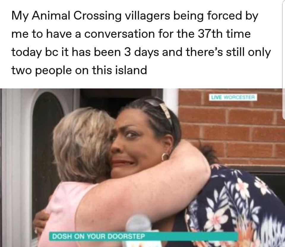 shoulder - My Animal Crossing villagers being forced by me to have a conversation for the 37th time today bc it has been 3 days and there's still only two people on this island Live Worcester Dosh On Your Doorstep