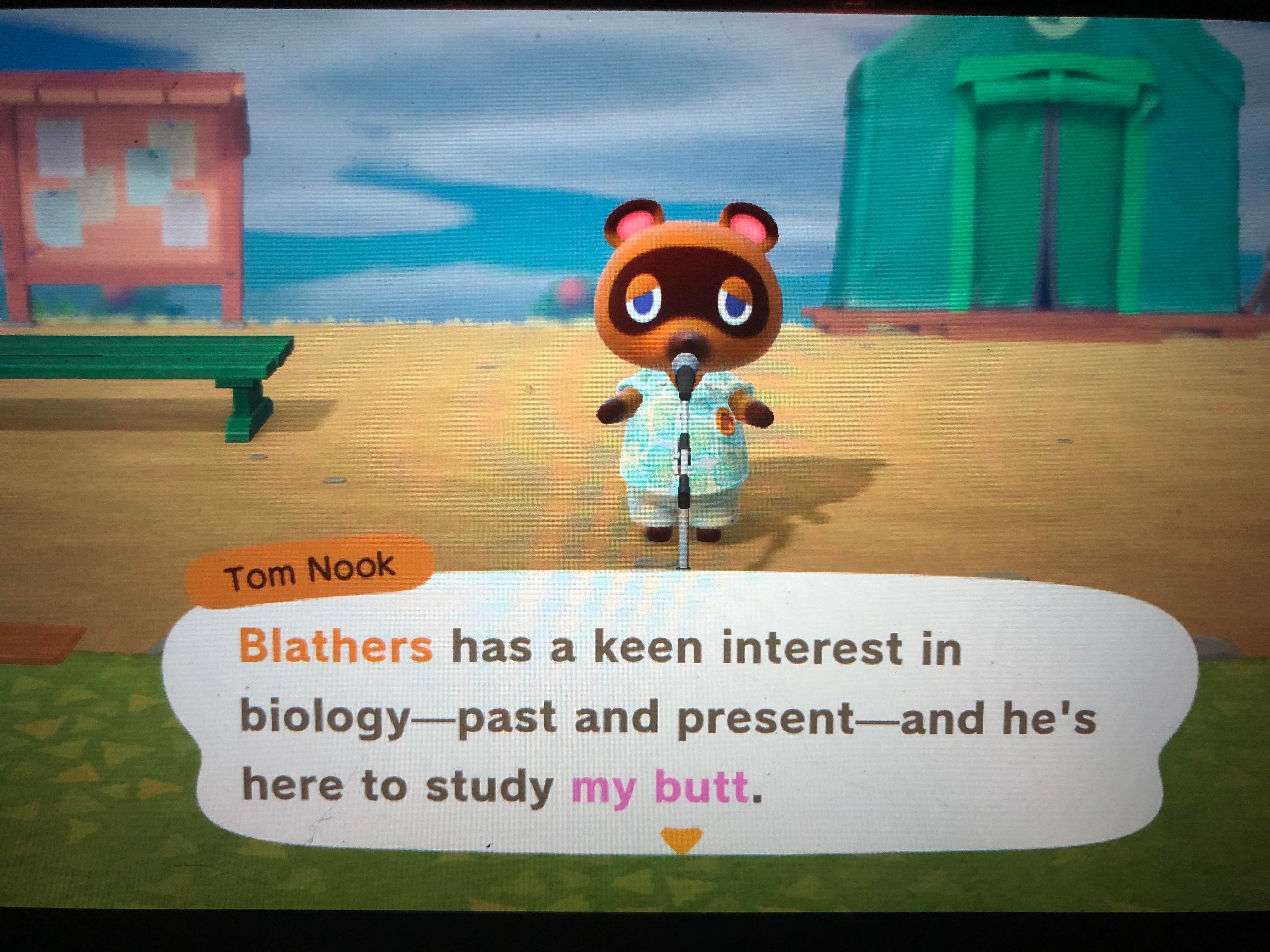 cartoon - Tom Nook Blathers has a keen interest in biologypast and presentand he's here to study my butt.