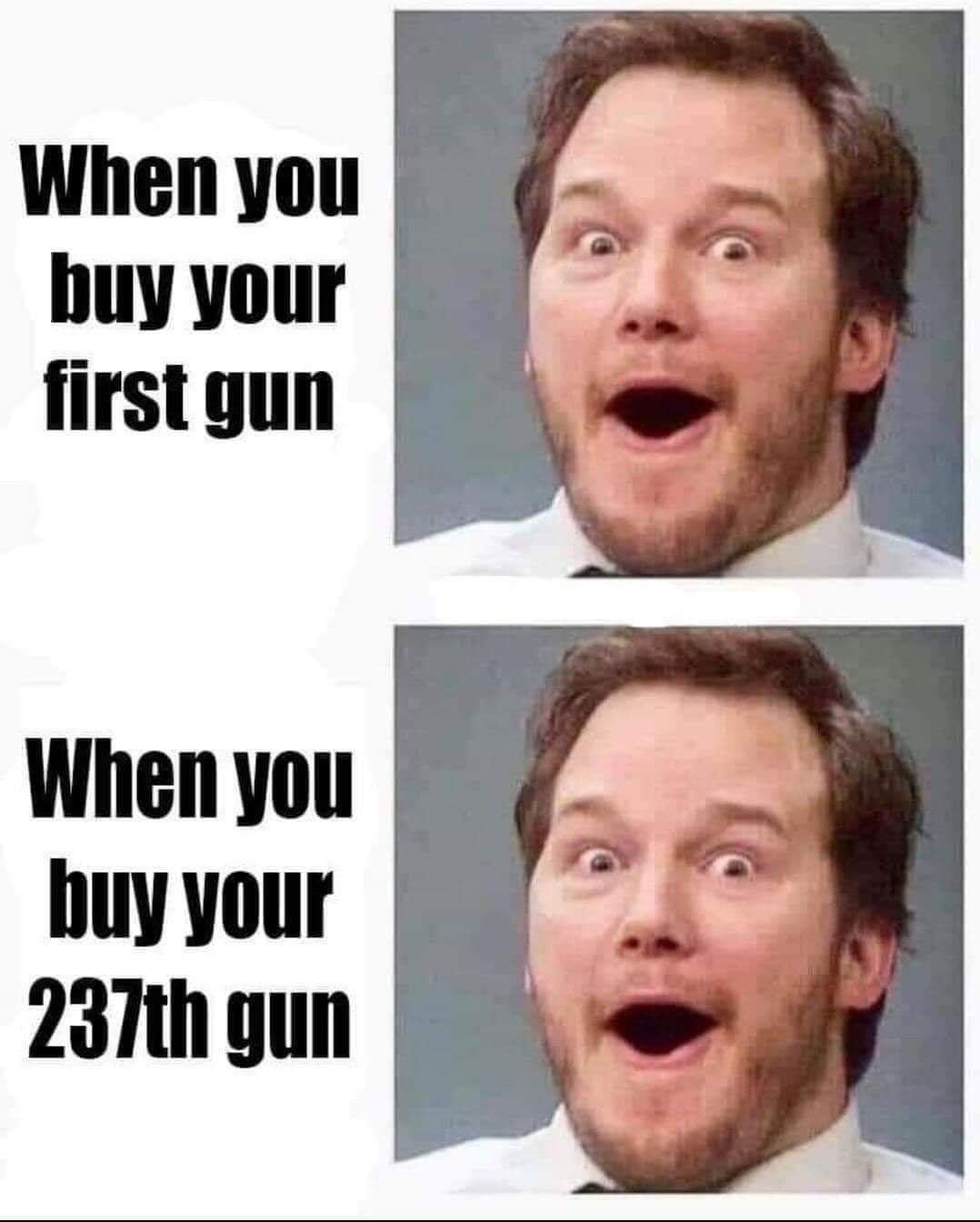 first time you hear a donkey bray meme - When you buy your first gun When you buy your 237th gun