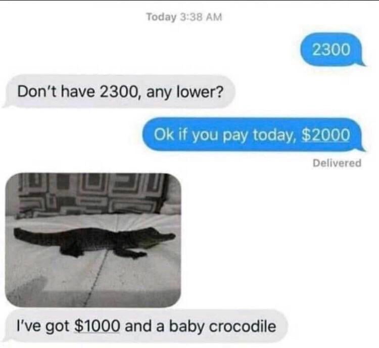 super entitled people - ve got 1000 and a baby crocodile - Today 2300 Don't have 2300, any lower? Ok if you pay today, $2000 Delivered I've got $1000 and a baby crocodile