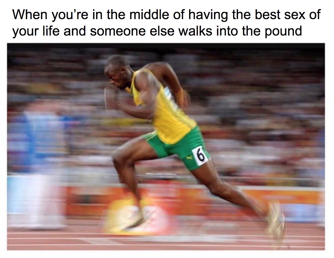 usain bolt athletes - When you're in the middle of having the best sex of your life and someone else walks into the pound
