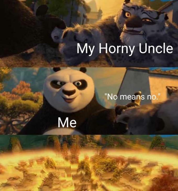 kung fu panda memes - My Horny Uncle "No means no." Me