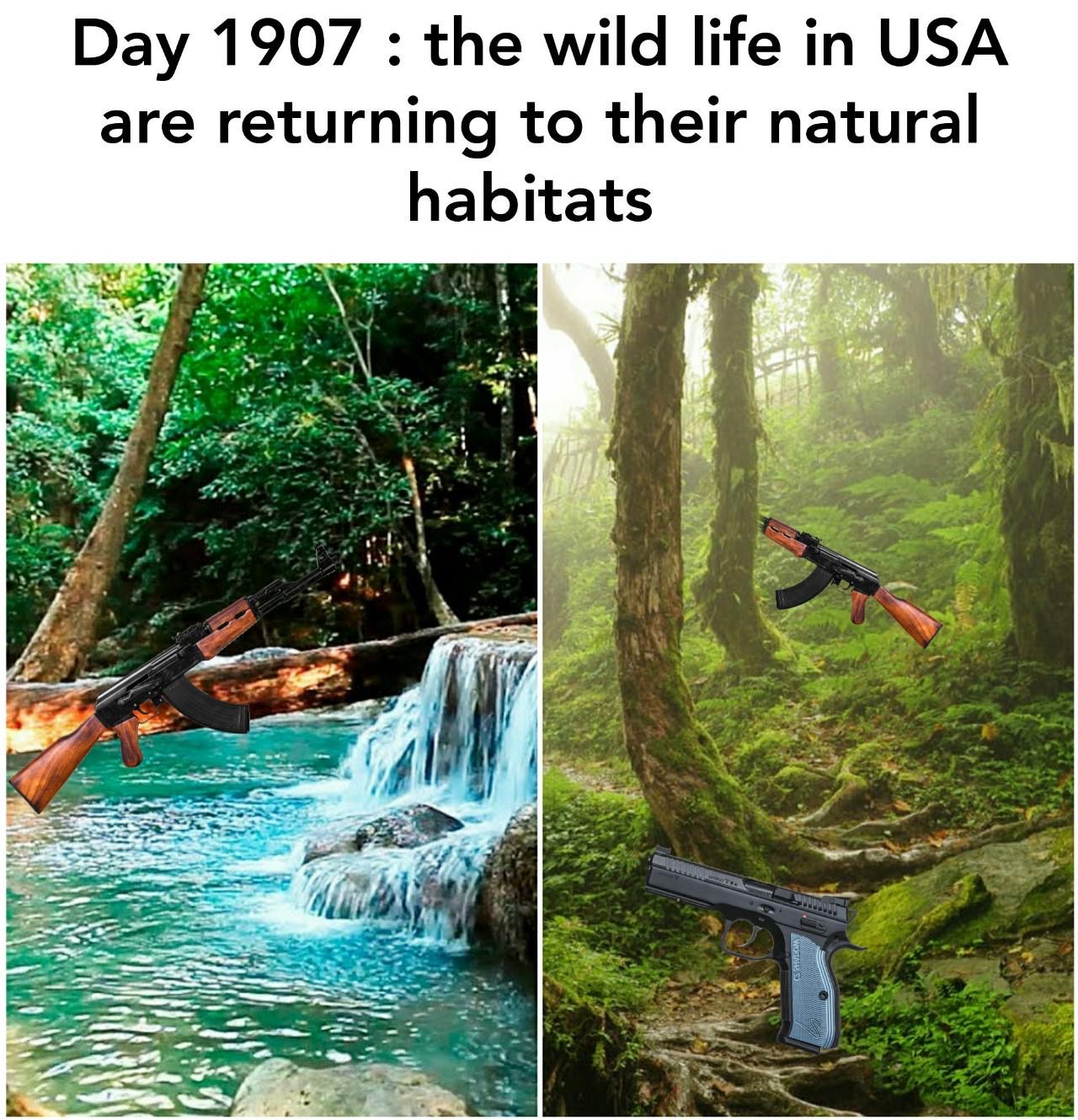funny memes - water resources - Day 1907 the wild life in Usa are returning to their natural habitats