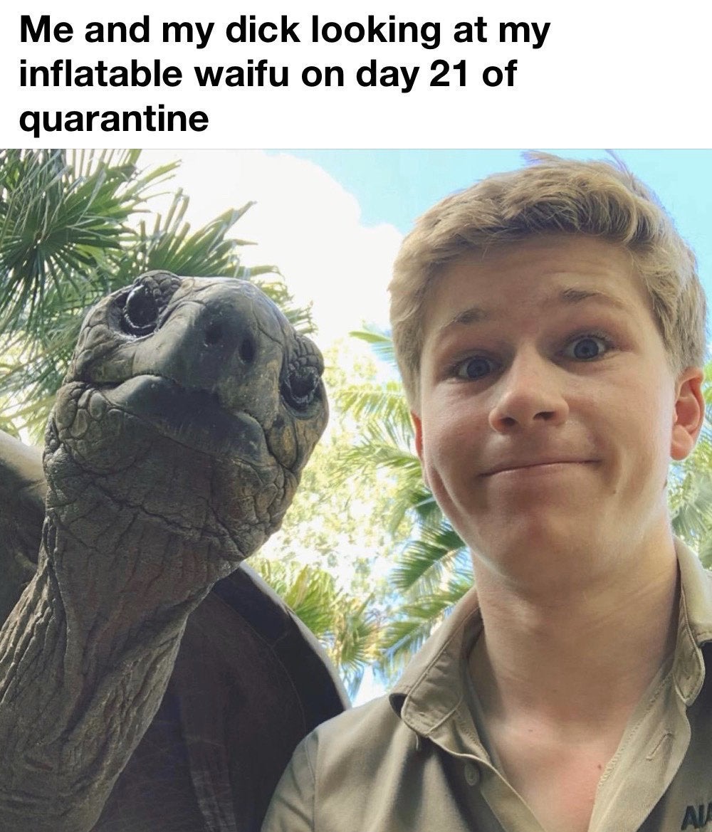 funny memes - tortoise - Me and my dick looking at my inflatable waifu on day 21 of quarantine