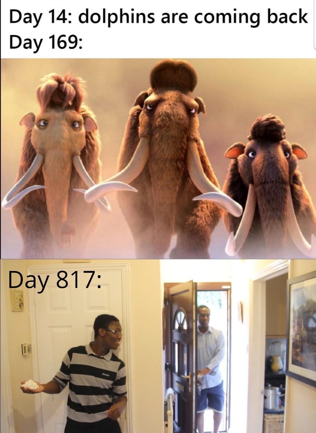 funny memes - ice age movie mammoths - Day 14 dolphins are coming back Day 169 Day 817