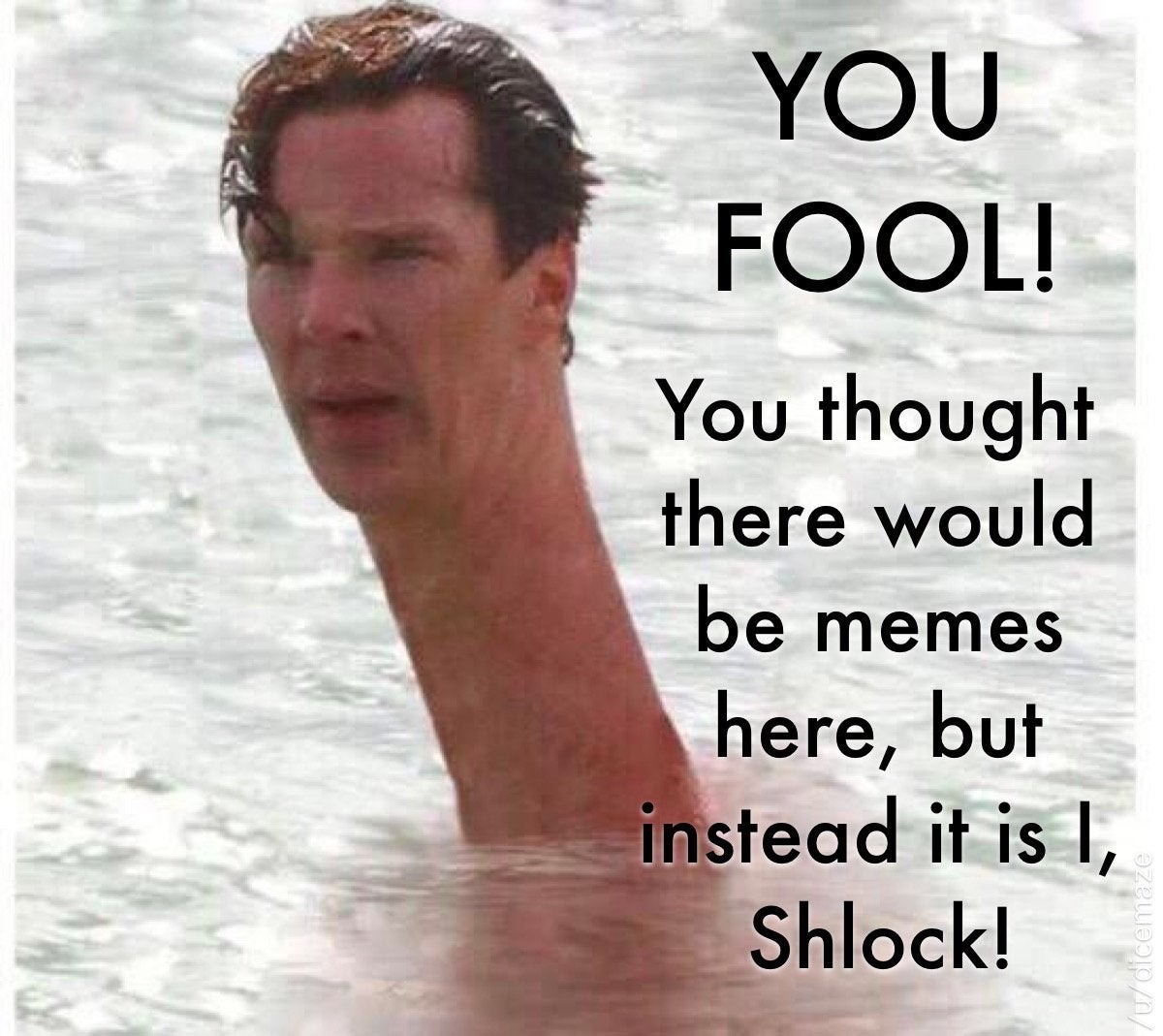 funny memes - Internet meme - You Fool! You thought there would be memes here, but instead it is I, Shlock! icemaze