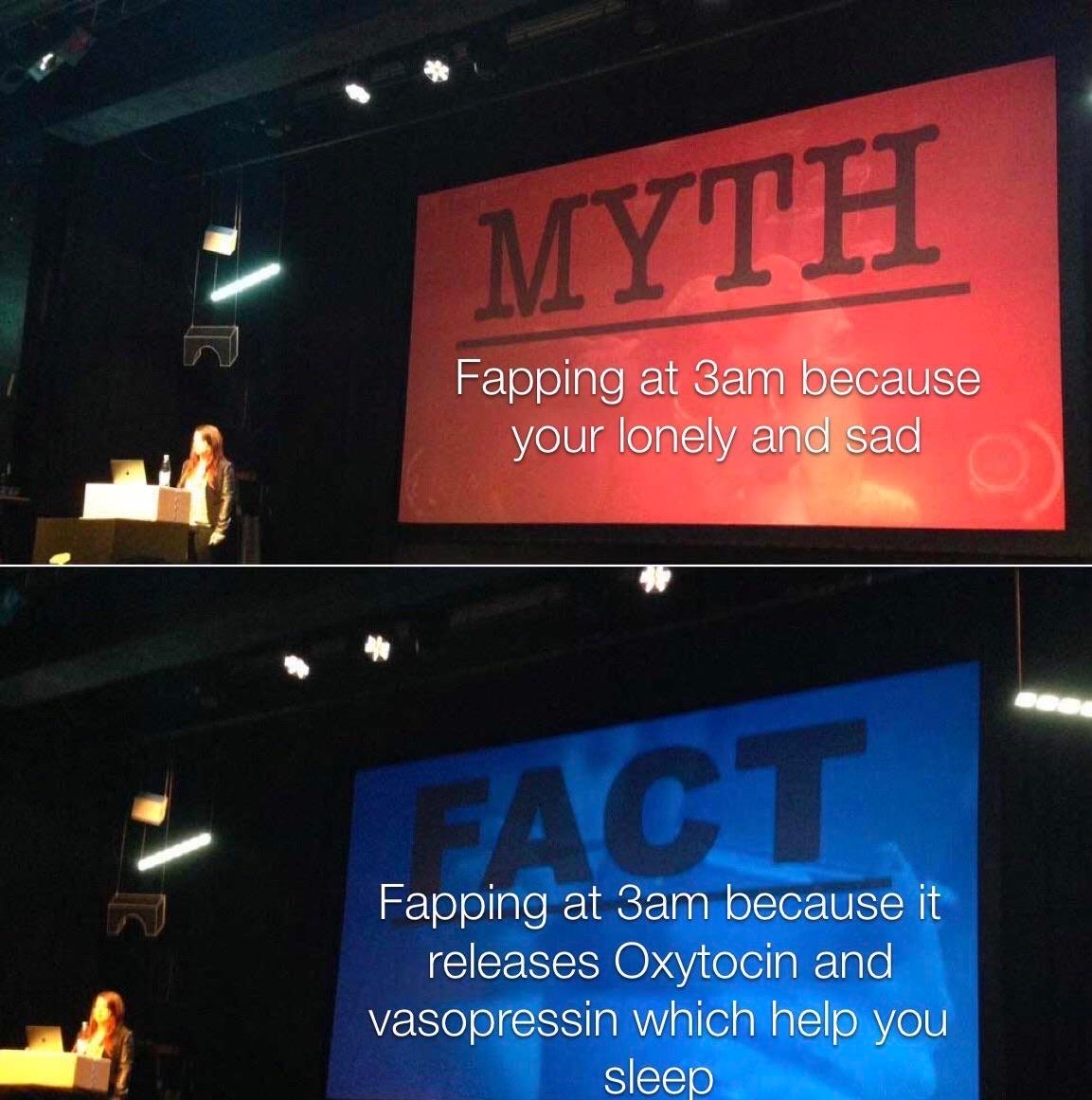 funny memes - myth or fact meme - Myth Fapping at 3am because your lonely and sad Fact Fapping at 3am because it releases Oxytocin and vasopressin which help you sleep