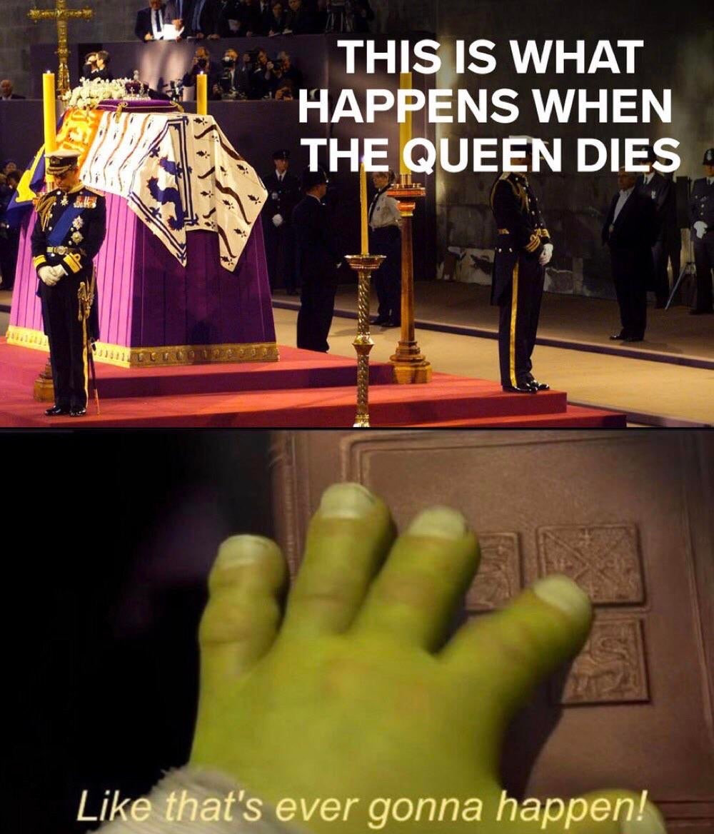 funny memes - queen dies - This Is What Happens When The Queen Dies that's ever gonna happen!