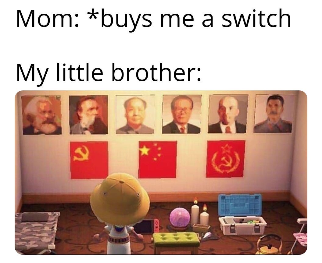 funny memes - Soviet Union - Mom buys me a switch My little brother