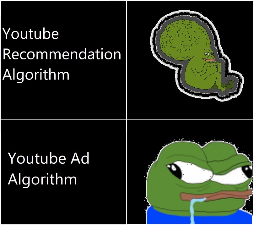 funny memes - animal - Youtube Recommendation Algorithm Youtube Ad Algorithm