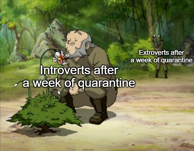 funny memes - avatar aang weed - Extroverts after a week of quarantine Introverts after . a week of quarantine Nyos