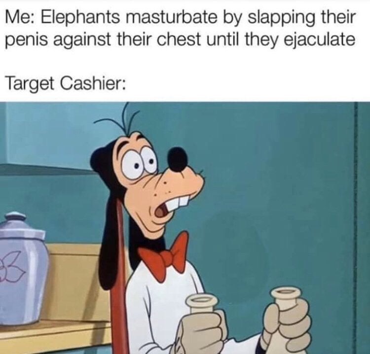 funny memes - hyuck you up - Me Elephants masturbate by slapping their penis against their chest until they ejaculate Target Cashier