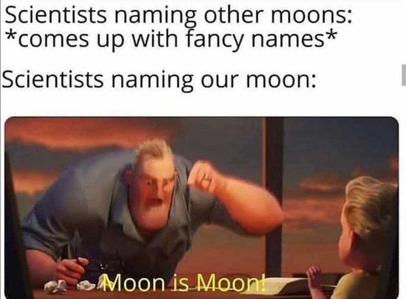 funny memes - incredible family meme - Scientists naming other moons comes up with fancy names Scientists naming our moon Moon is Moon!