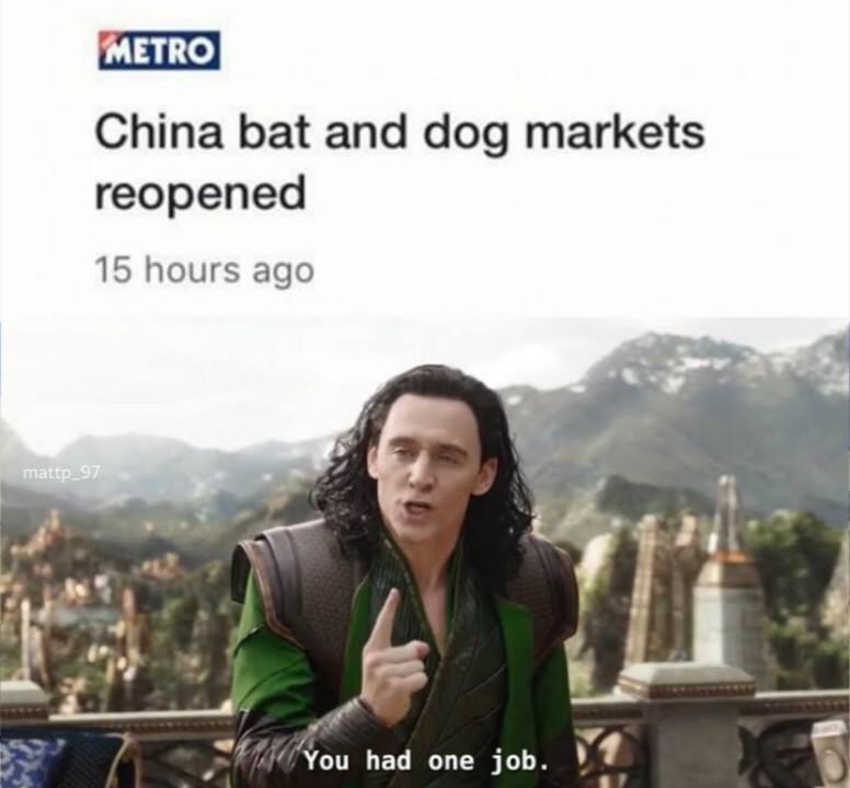 funny memes - iron man man of steel statue meme - Metro China bat and dog markets reopened 15 hours ago mattp_97 You had one job.