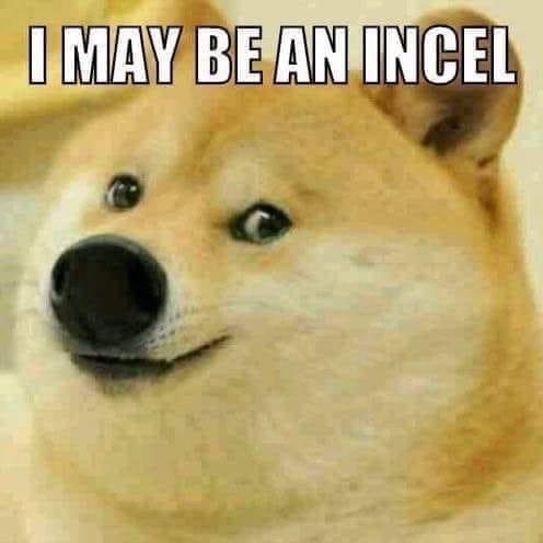 doge memes ironic - I May Be An Incel