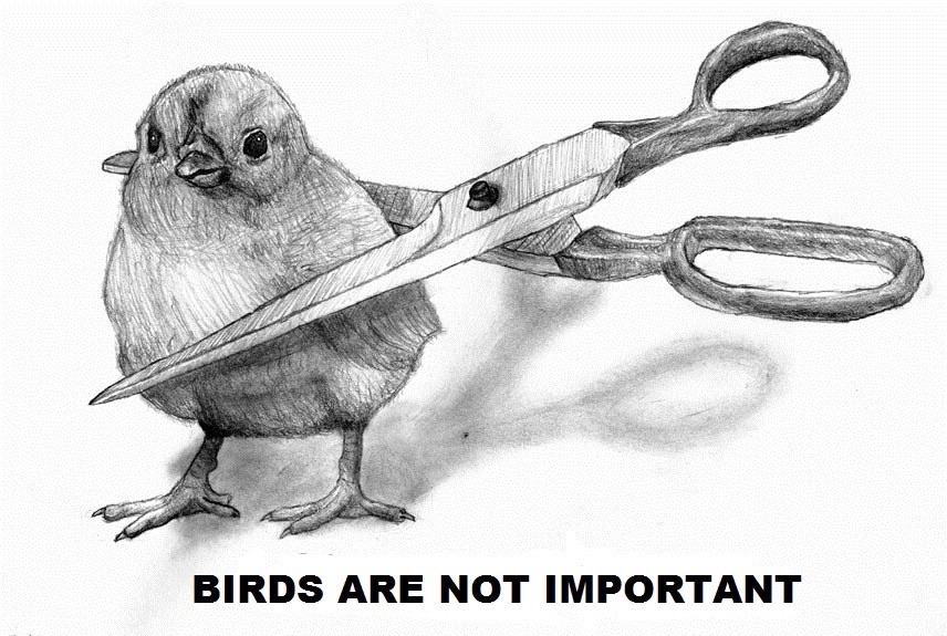 birds are not important - Birds Are Not Important