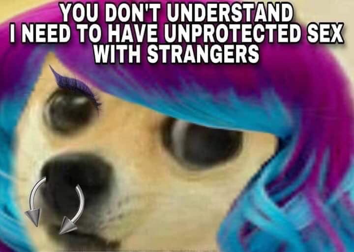 doge you don t understand i need - You Don'T Understand I Need To Have Unprotected Sex With Strangers