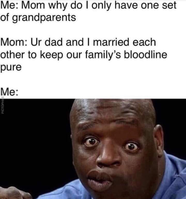 sweet home alabama meme - Me Mom why do I only have one set of grandparents Mom Ur dad and I married each other to keep our family's bloodline pure Me Pictophie