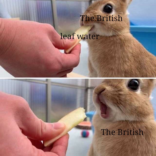 british leaf water rabbit - The British leaf water The British
