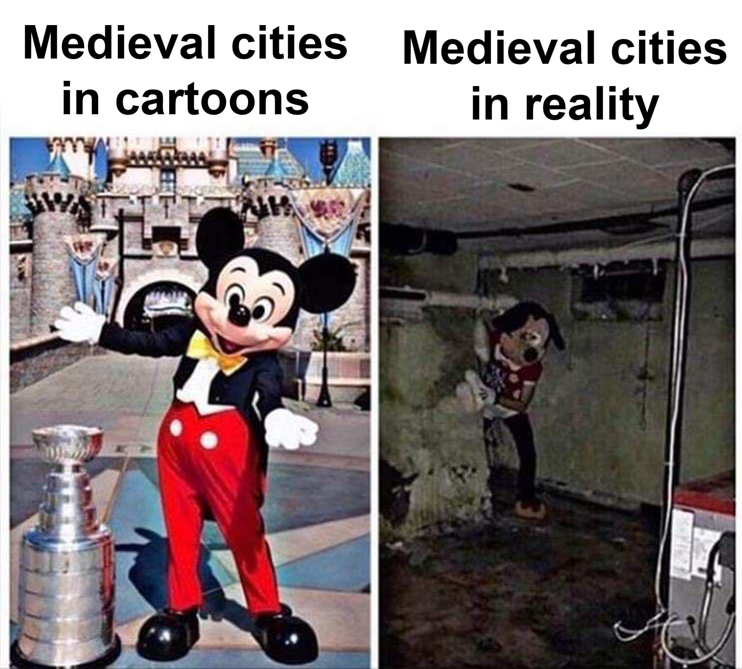 funny history memes - Medieval cities Medieval cities in cartoons in reality