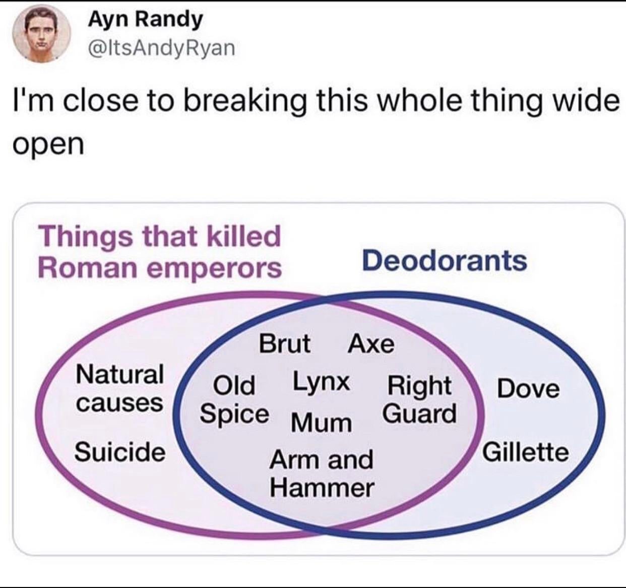 deodorant and roman deaths meme - Ayn Randy Ryan I'm close to breaking this whole thing wide open Things that killed Roman emperors Deodorants Dove Natural causes Suicide Brut Axe Old Lynx Right Spice Mum Guard Arm and Hammer Gillette