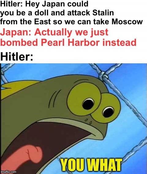 ww2 pearl harbor meme - Hitler Hey Japan could you be a doll and attack Stalin from the East so we can take Moscow Japan Actually we just bombed Pearl Harbor instead Hitler You What imgflip.com