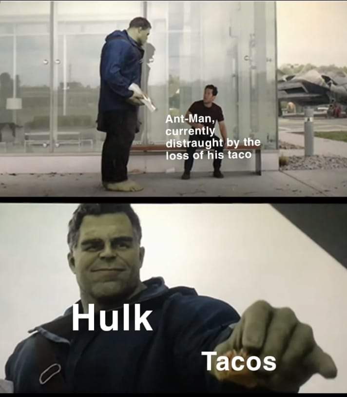 meme hulk endgame - AntMan, currently distraught by the loss of his taco Hulk Tacos
