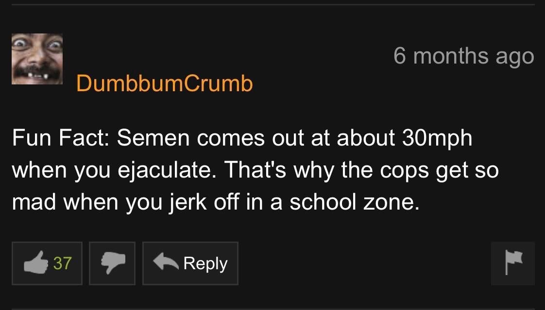 screenshot - 6 months ago DumbbumCrumb Fun Fact Semen comes out at about 30mph when you ejaculate. That's why the cops get so mad when you jerk off in a school zone. 137