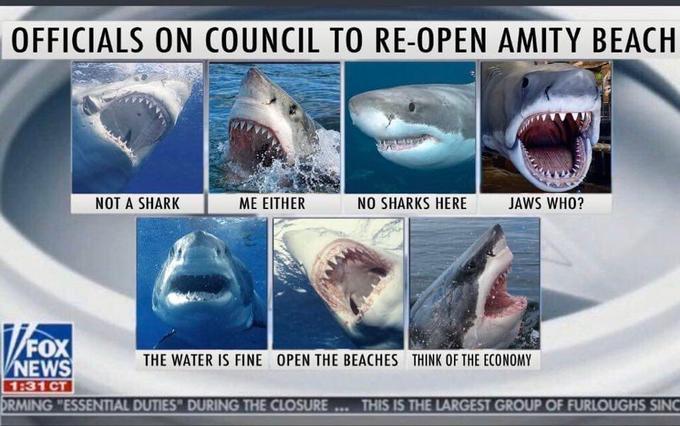 fox news - Officials On Council To ReOpen Amity Beach Not A Sharkt Me Either No Sharks Here Jaws Who? TFox Vnews The Water Is Fine Open The Beaches Think Of The Economy Ct Drming "Essential Duties During The Closure ... This Is The Largest Group Of Furlou