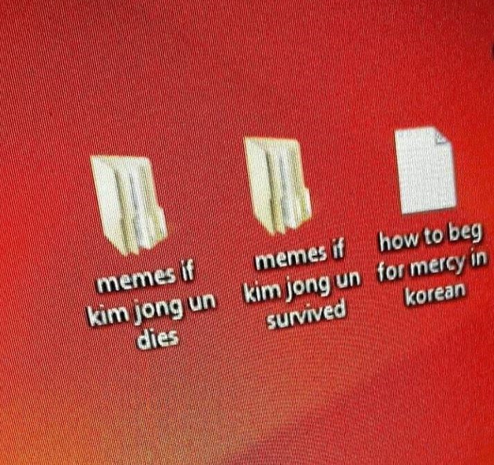 material - memes if kim jong un memes if how to beg kim jong un for mercy in survived korean dies