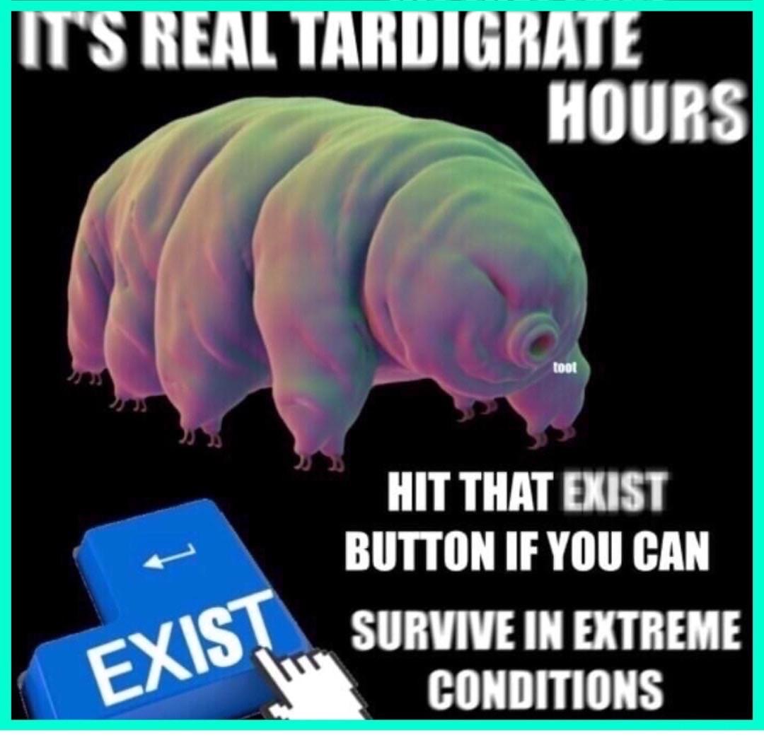 pilatus - It'S Real Tardigrate Hours toot Hit That Exist Button If You Can Survive In Extreme Conditions Exist