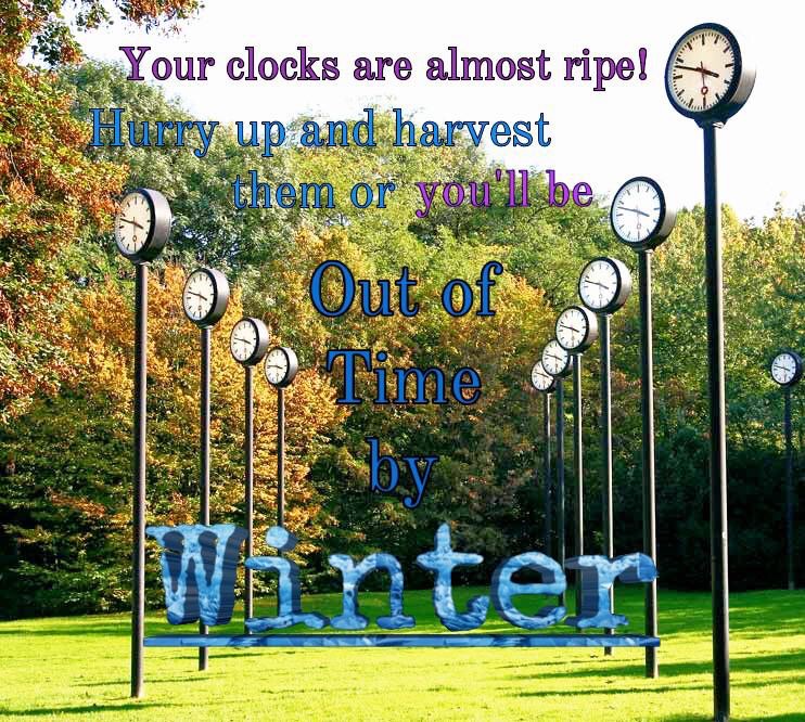 harvest your clocks meme - Your clocks are almost ripel 6 Hurry up and harvest them or you'll be o To. Out of 1 Winter