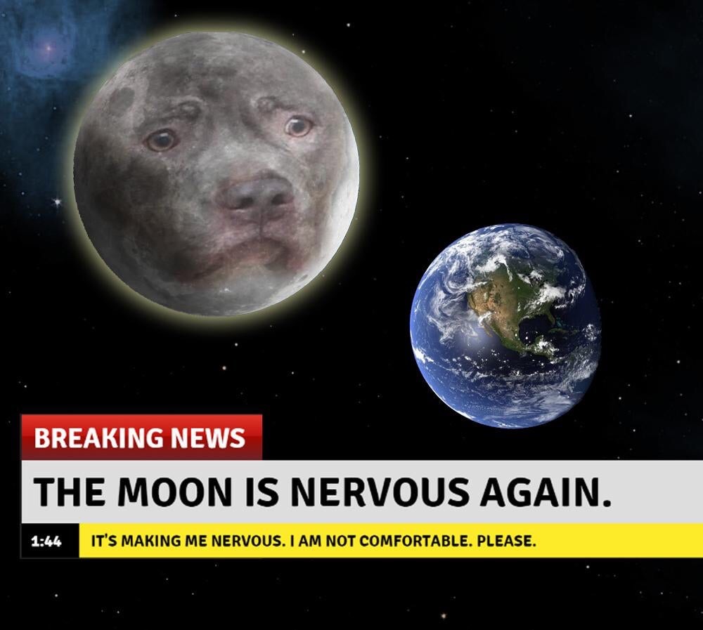 moon is nervous again - Breaking News The Moon Is Nervous Again. It'S Making Me Nervous. I Am Not Comfortable. Please.