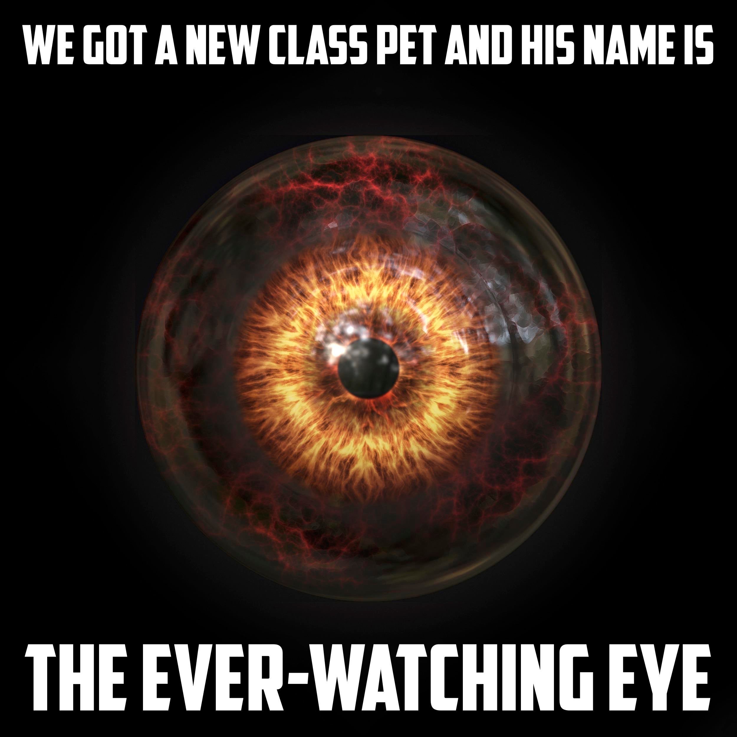 close up - We Got A New Class Pet And His Name Is The EverWatching Eye