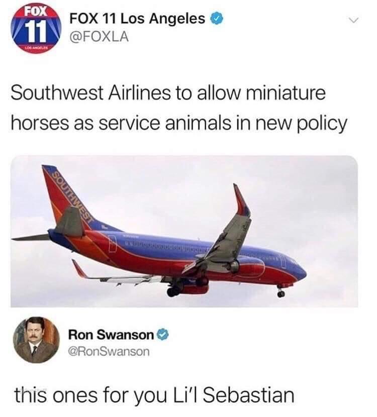 southwest airlines memes - Fox Fox 11 Los Angeles Southwest Airlines to allow miniature horses as service animals in new policy Southn Ron Swanson Swanson this ones for you Li'l Sebastian
