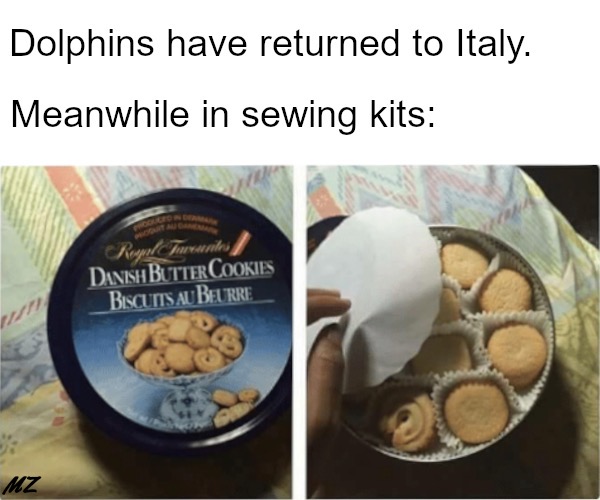 dolphins return to italy meme - Dolphins have returned to Italy. Meanwhile in sewing kits Repu uviles Danish Butter Cookies Biscuits Au Beurre