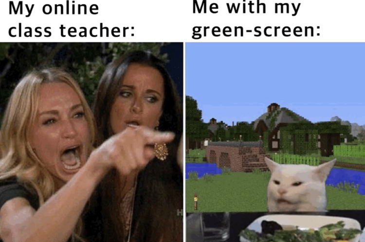 gabby memes - My online class teacher Me with my greenscreen